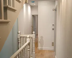 new loft 