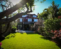 garden
